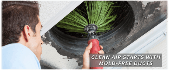 Air Duct Mold Removal in Fort Worth TX